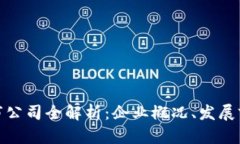 杭州区块链上市公司全解析：企业概况、发展前